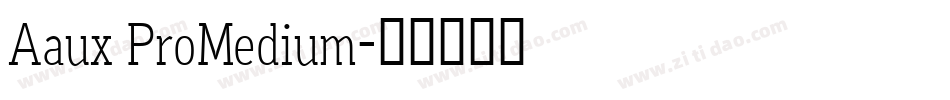 Aaux ProMedium字体转换